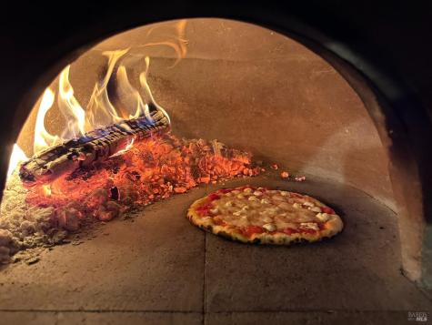 3977 Docs Ranch Road Occidental CA 95465