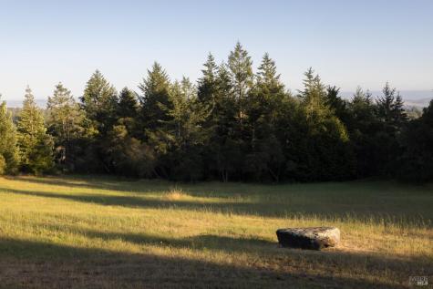 3977 Docs Ranch Road Occidental CA 95465