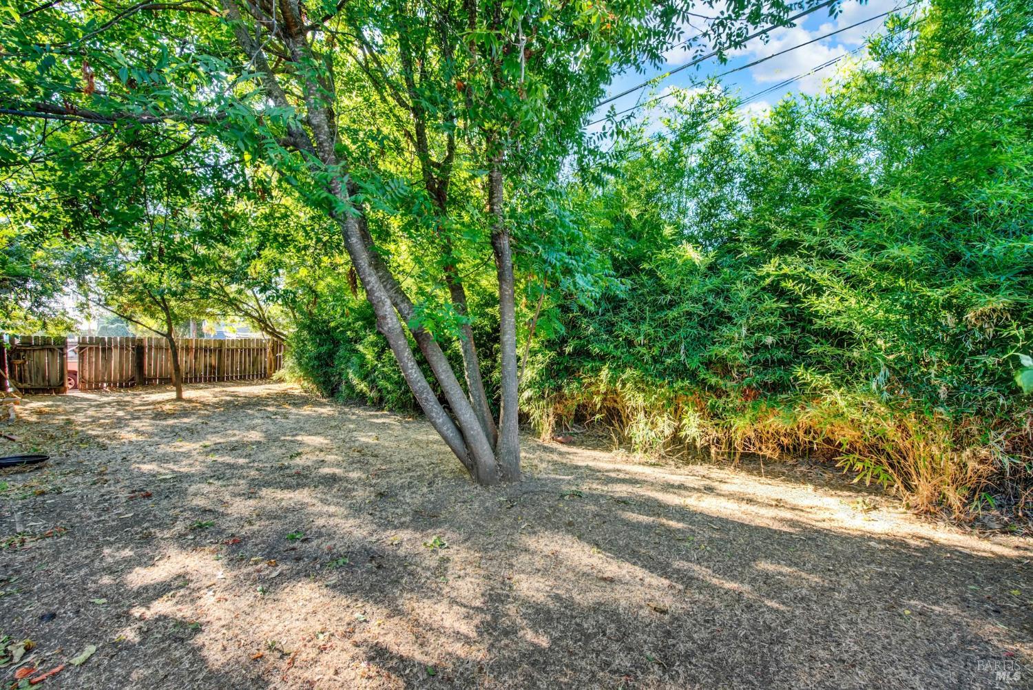 690 Camellia Way Vacaville CA 95688