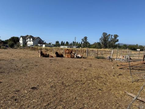 1191 Helman Lane Cotati CA 94931