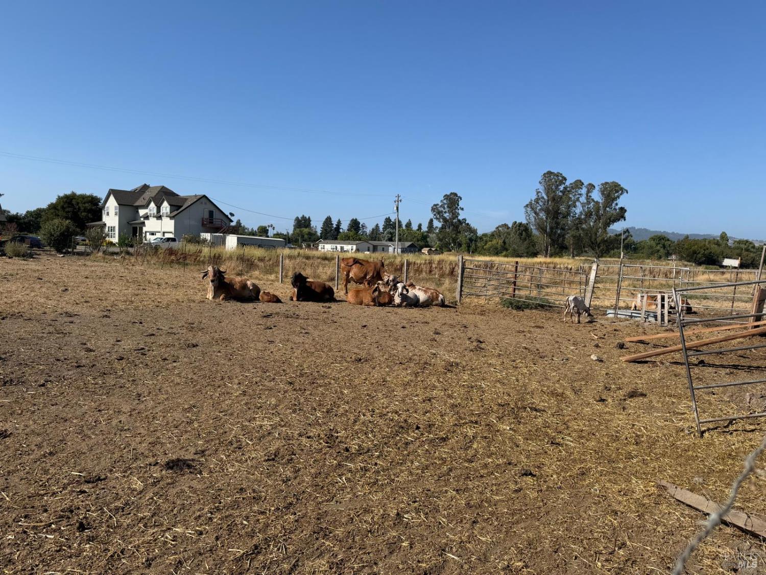 1191 Helman Lane Cotati CA 94931