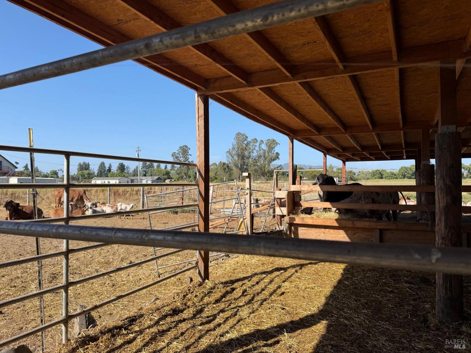 1191 Helman Lane Cotati CA 94931