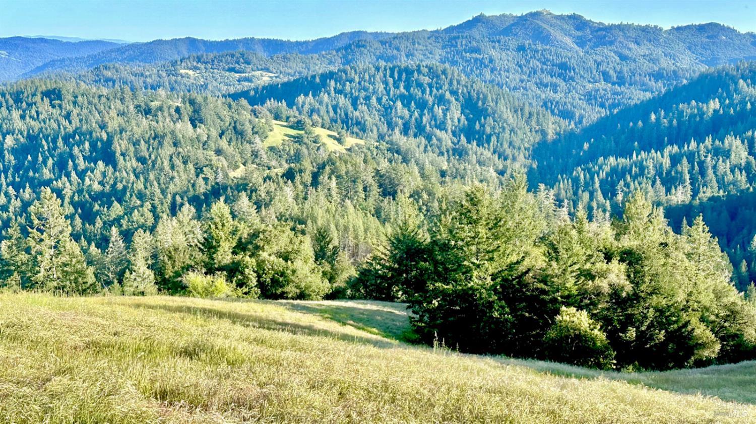 5000 Mohrhardt Ridge Road Cazadero CA 95421