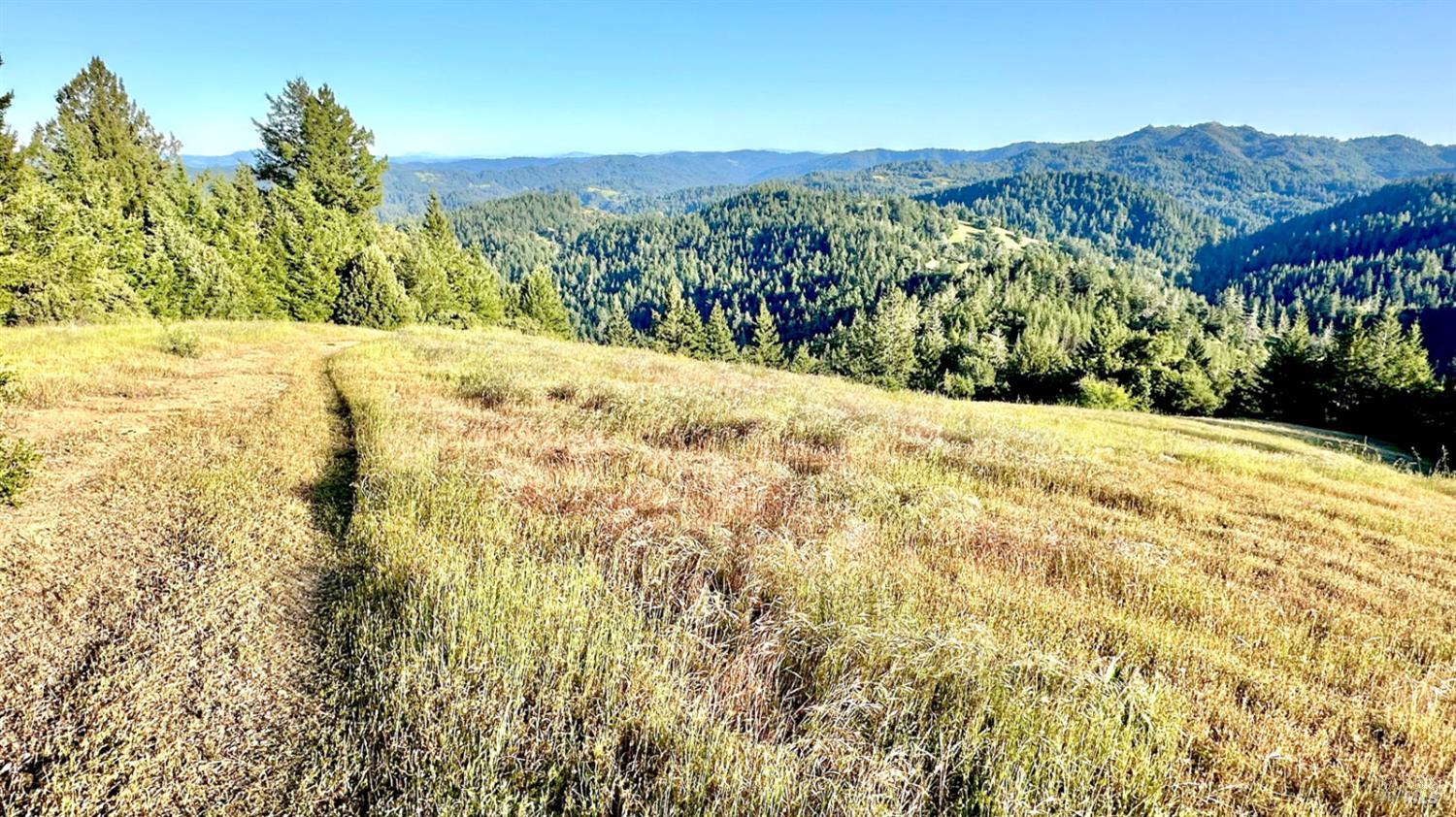 5000 Mohrhardt Ridge Road Cazadero CA 95421