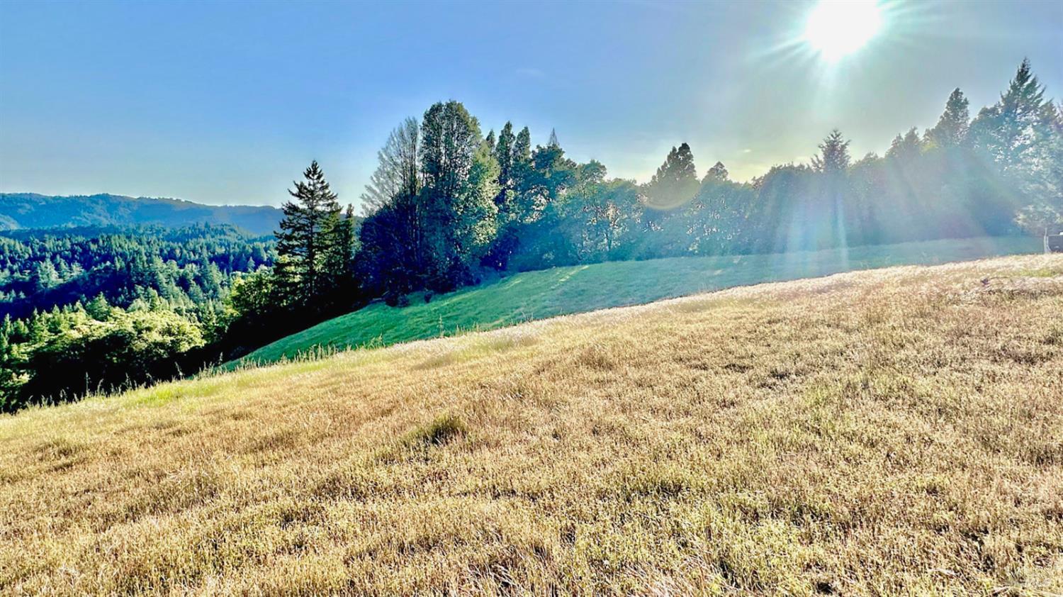 5000 Mohrhardt Ridge Road Cazadero CA 95421