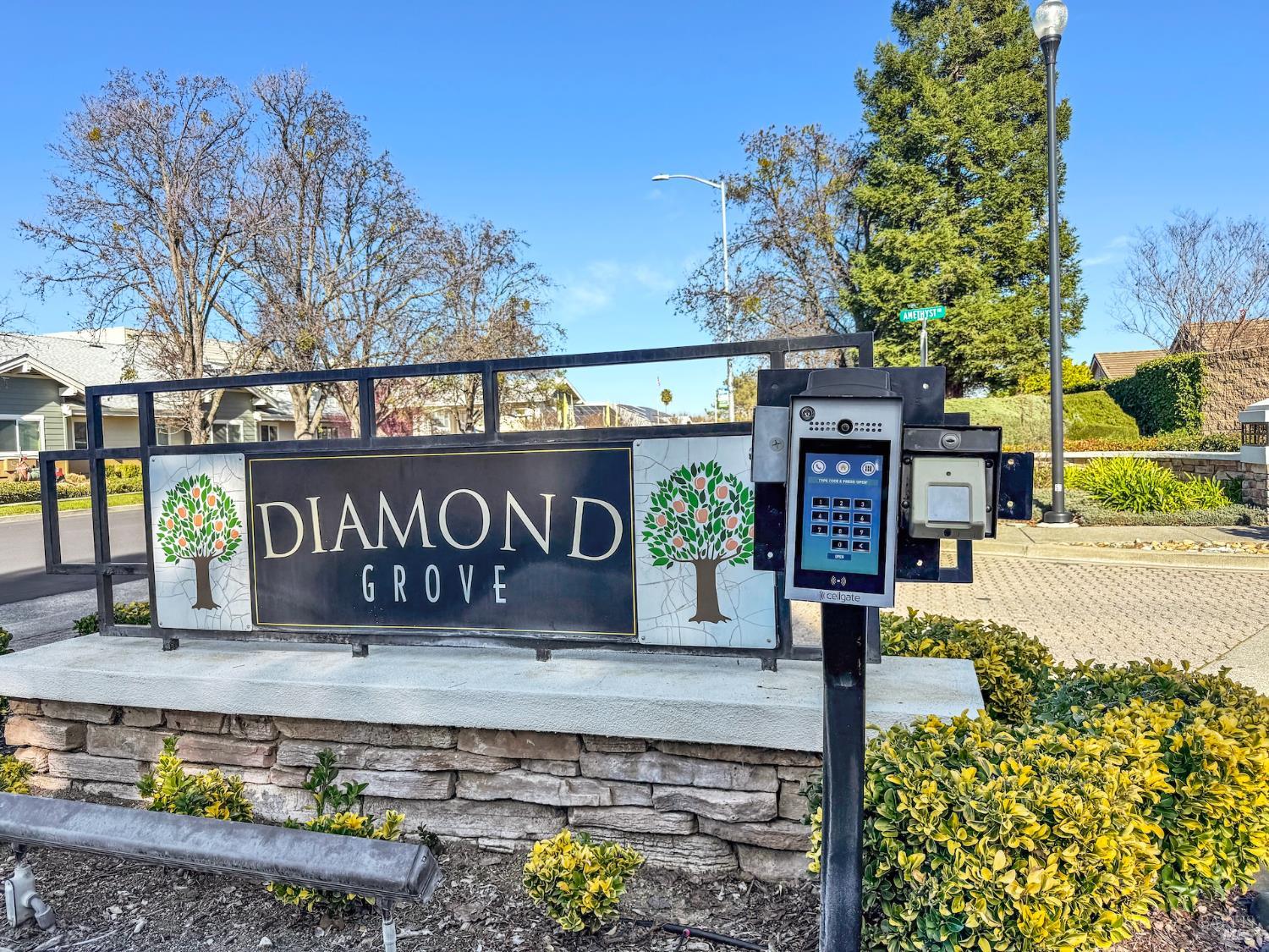 161 Currant Lane Vacaville CA 95687