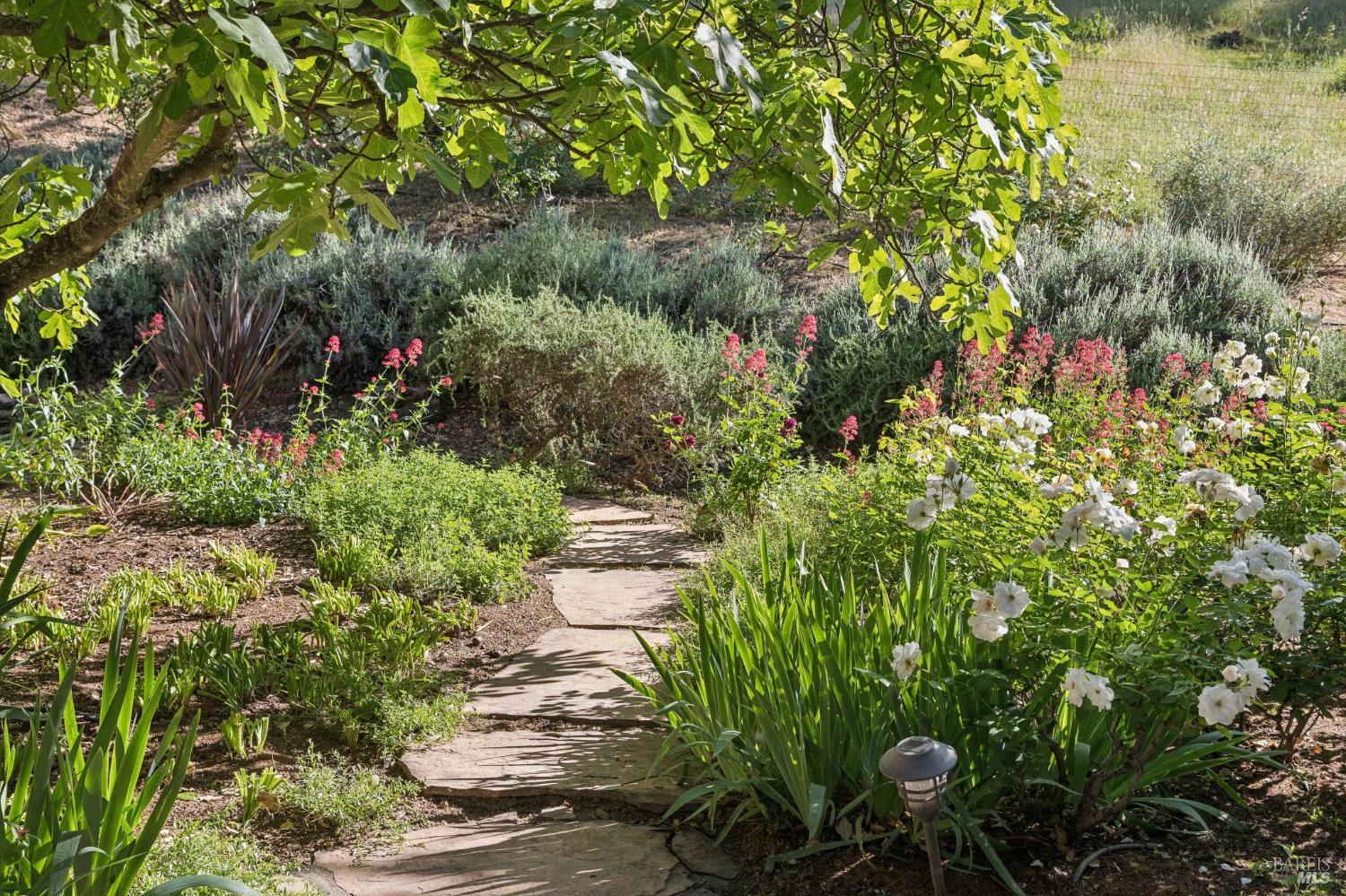 391 Crystal Springs Road St. Helena CA 94574