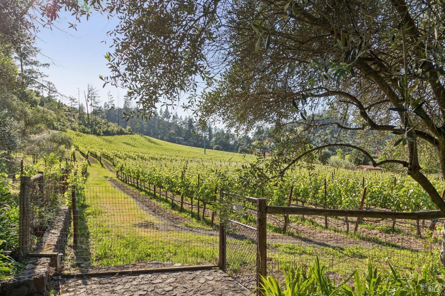 391 Crystal Springs Road St. Helena CA 94574