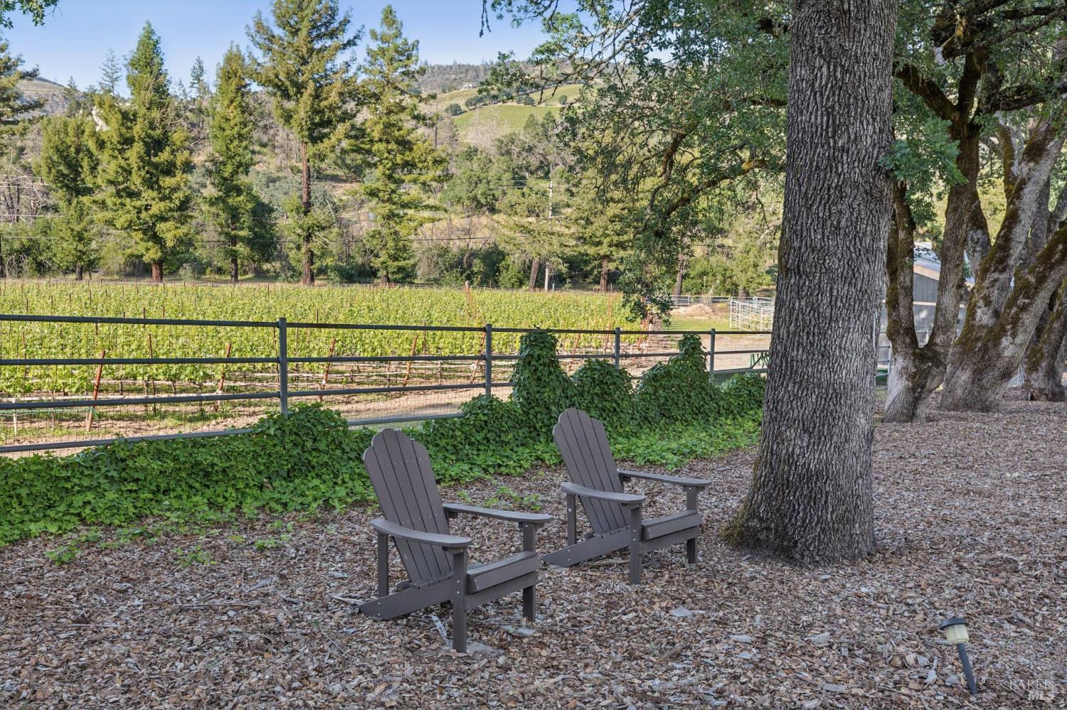 391 Crystal Springs Road St. Helena CA 94574