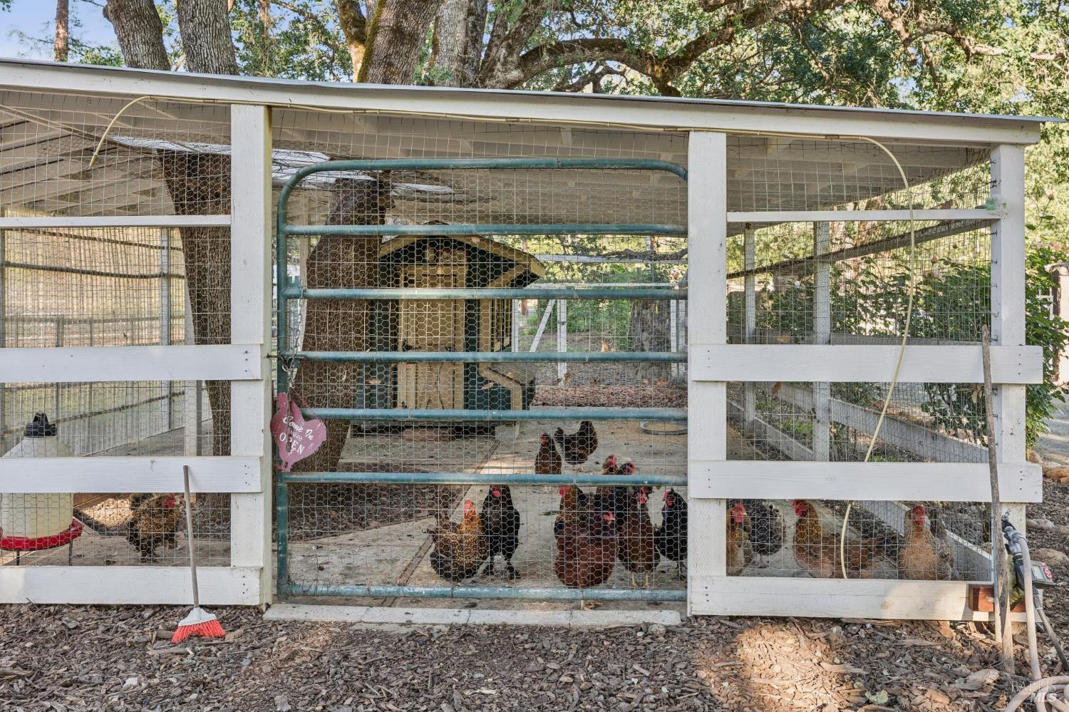 391 Crystal Springs Road St. Helena CA 94574