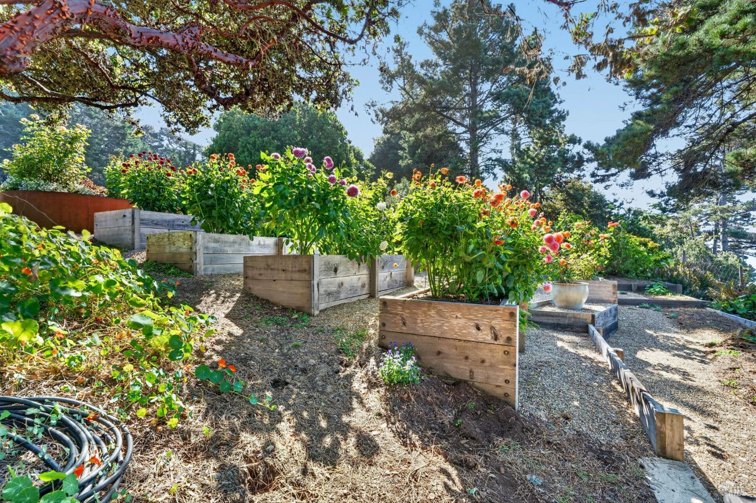 5540 N Highway 1 Little River CA 95456