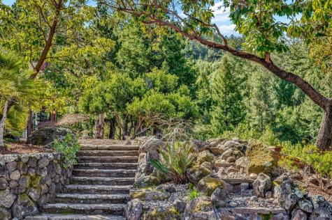 40 Los Pinos Nicasio CA 94946