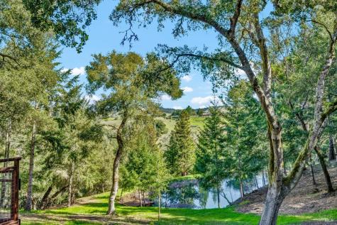 40 Los Pinos Nicasio CA 94946