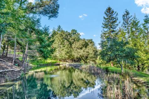 40 Los Pinos Nicasio CA 94946