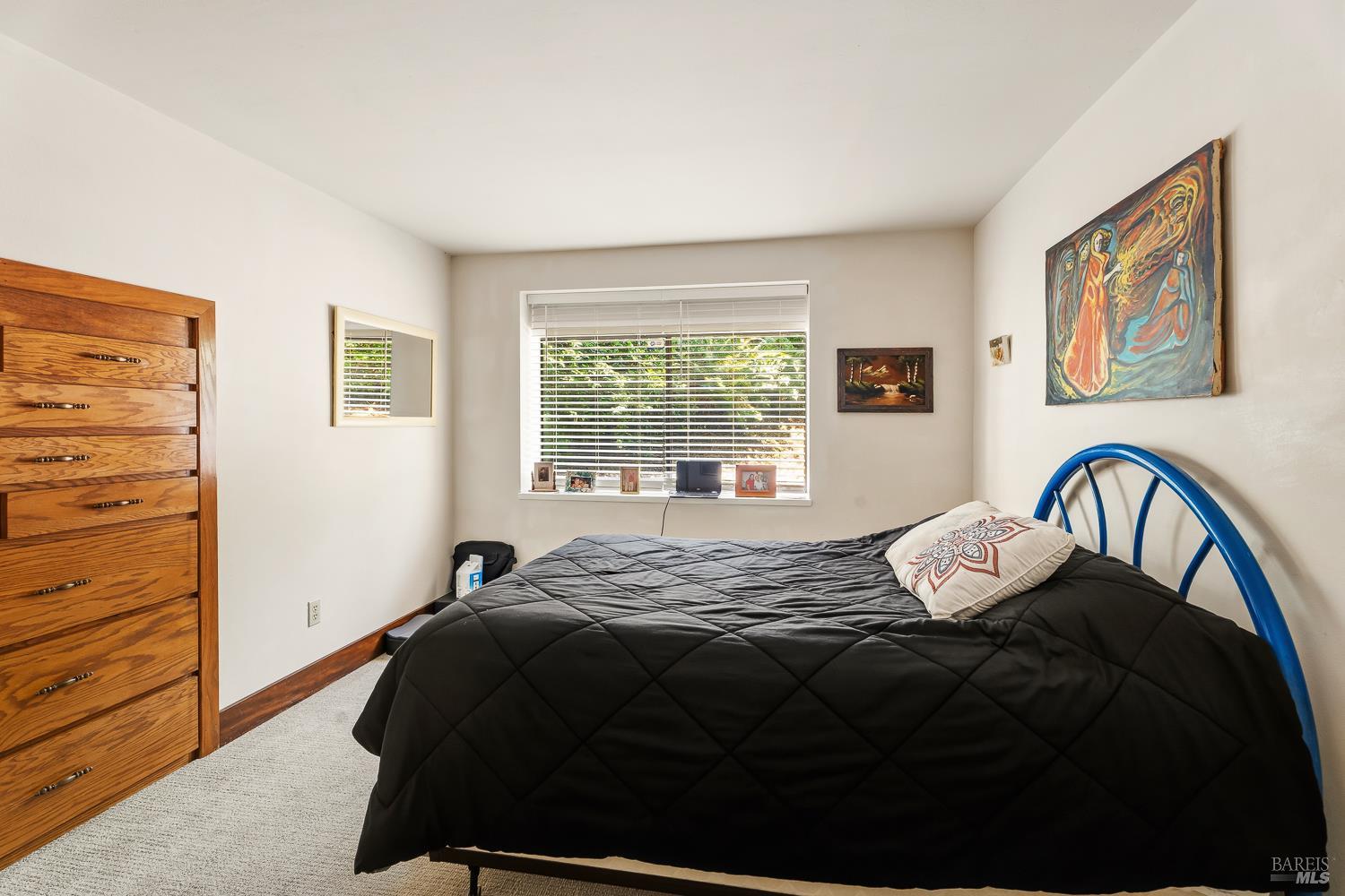 1315 Ferguson Road Sebastopol CA 95472