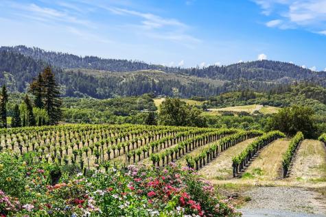 5143 Dry Creek Road Healdsburg CA 95448