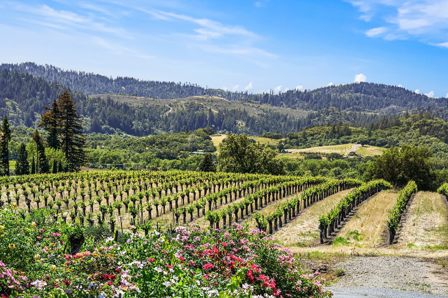 5143 Dry Creek Road Healdsburg CA 95448