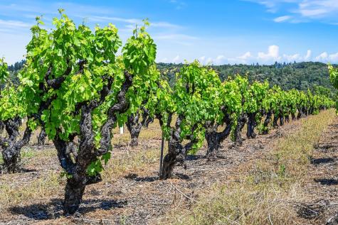 5143 Dry Creek Road Healdsburg CA 95448
