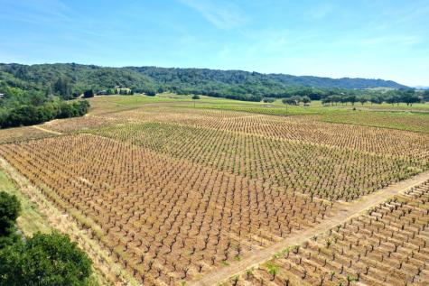 5143 Dry Creek Road Healdsburg CA 95448