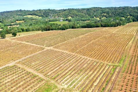 5143 Dry Creek Road Healdsburg CA 95448