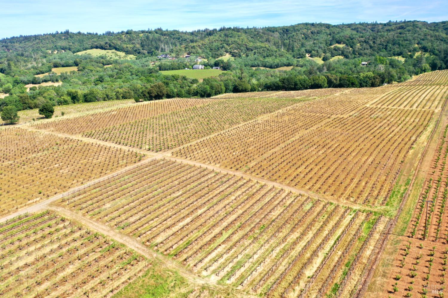 5143 Dry Creek Road Healdsburg CA 95448