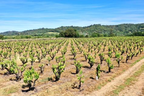 5143 Dry Creek Road Healdsburg CA 95448