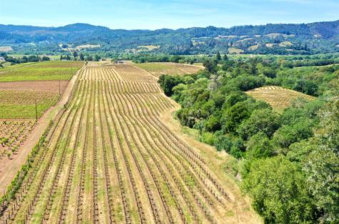 5143 Dry Creek Road Healdsburg CA 95448
