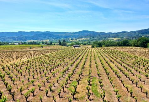 5143 Dry Creek Road Healdsburg CA 95448