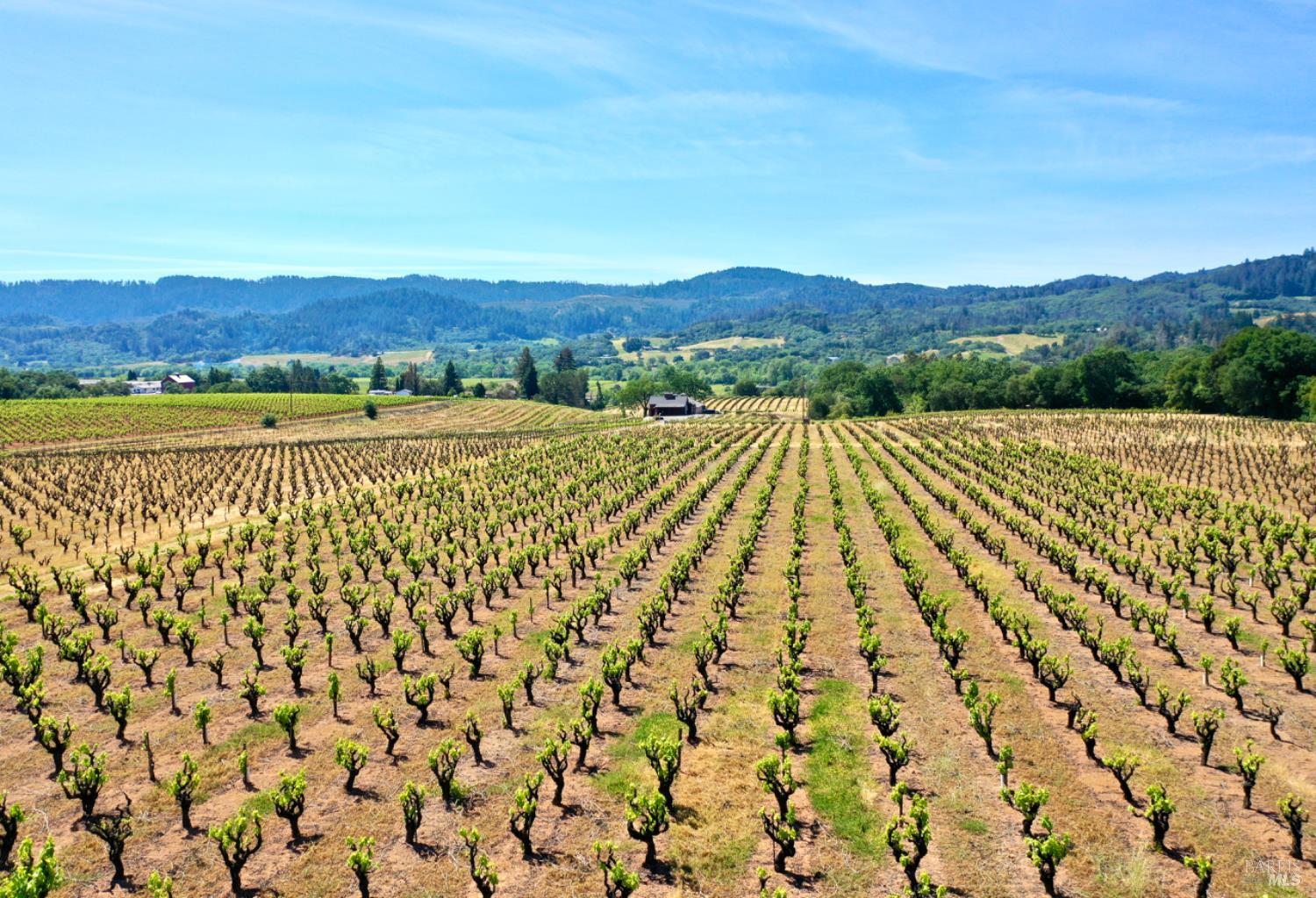 5143 Dry Creek Road Healdsburg CA 95448