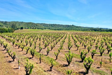 5143 Dry Creek Road Healdsburg CA 95448