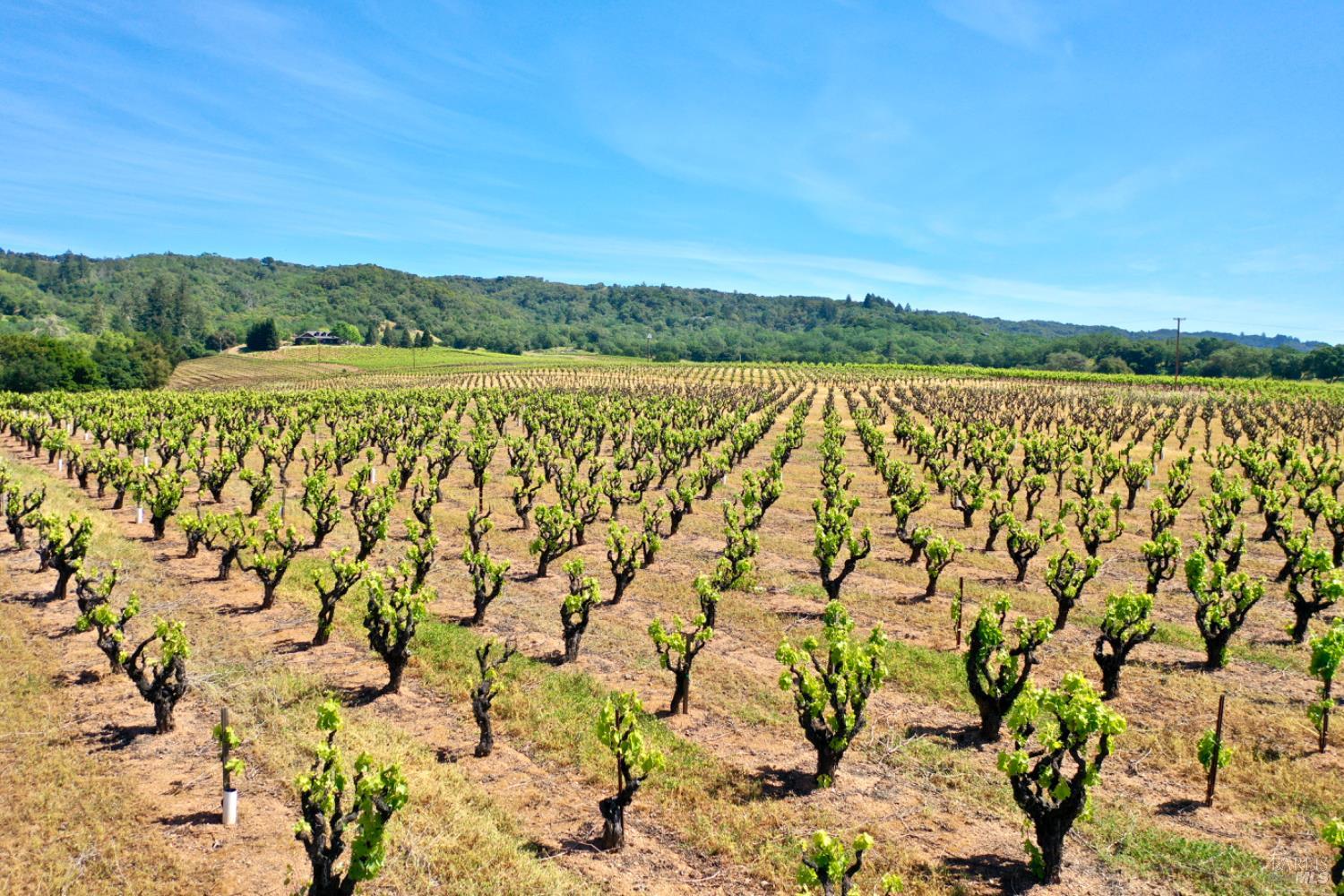 5143 Dry Creek Road Healdsburg CA 95448