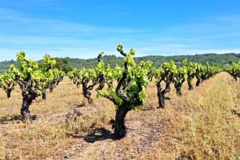 5143 Dry Creek Road Healdsburg CA 95448