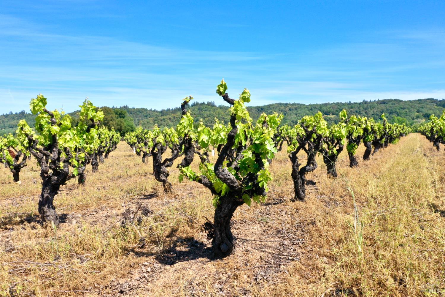 5143 Dry Creek Road Healdsburg CA 95448