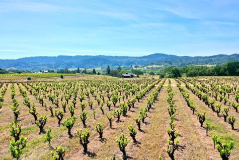5143 Dry Creek Road Healdsburg CA 95448