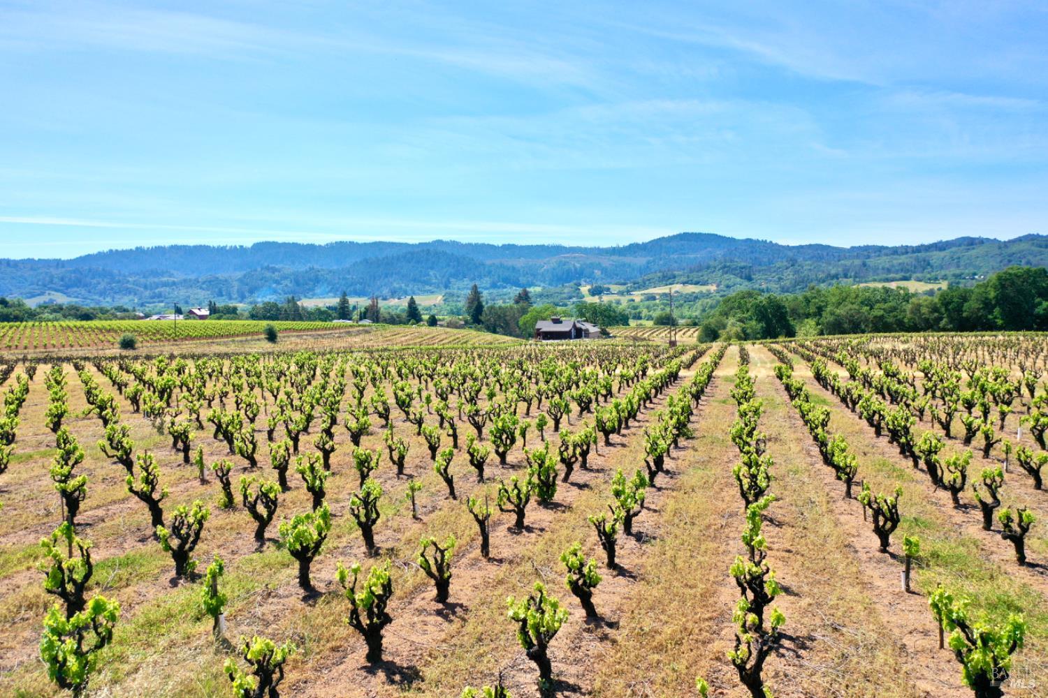 5143 Dry Creek Road Healdsburg CA 95448
