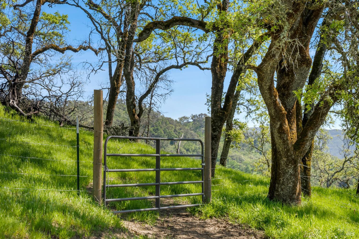 95 Longhorn Ridge Road Napa CA 94558