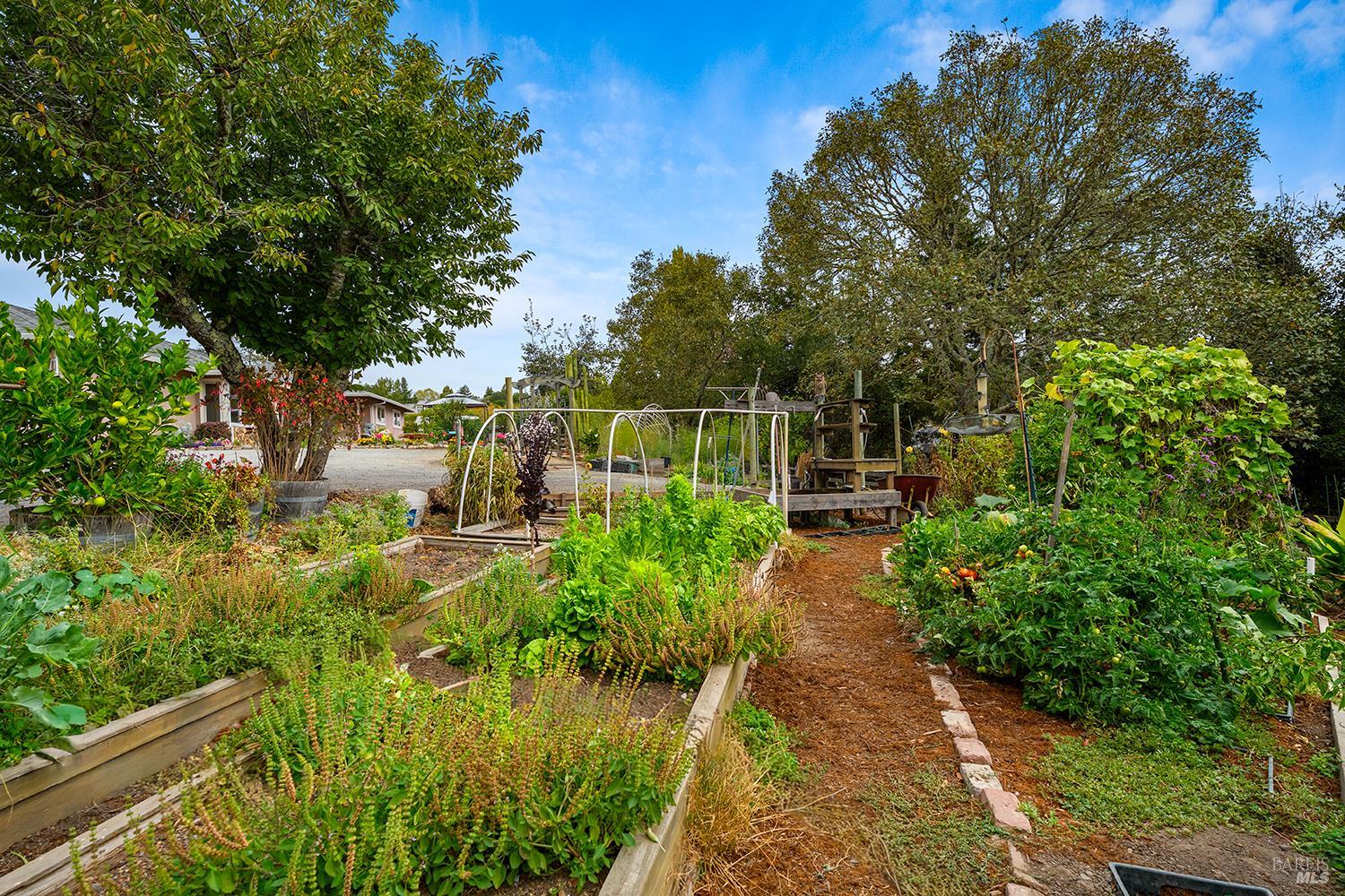 10395 Deblyn Lane Sebastopol CA 95472