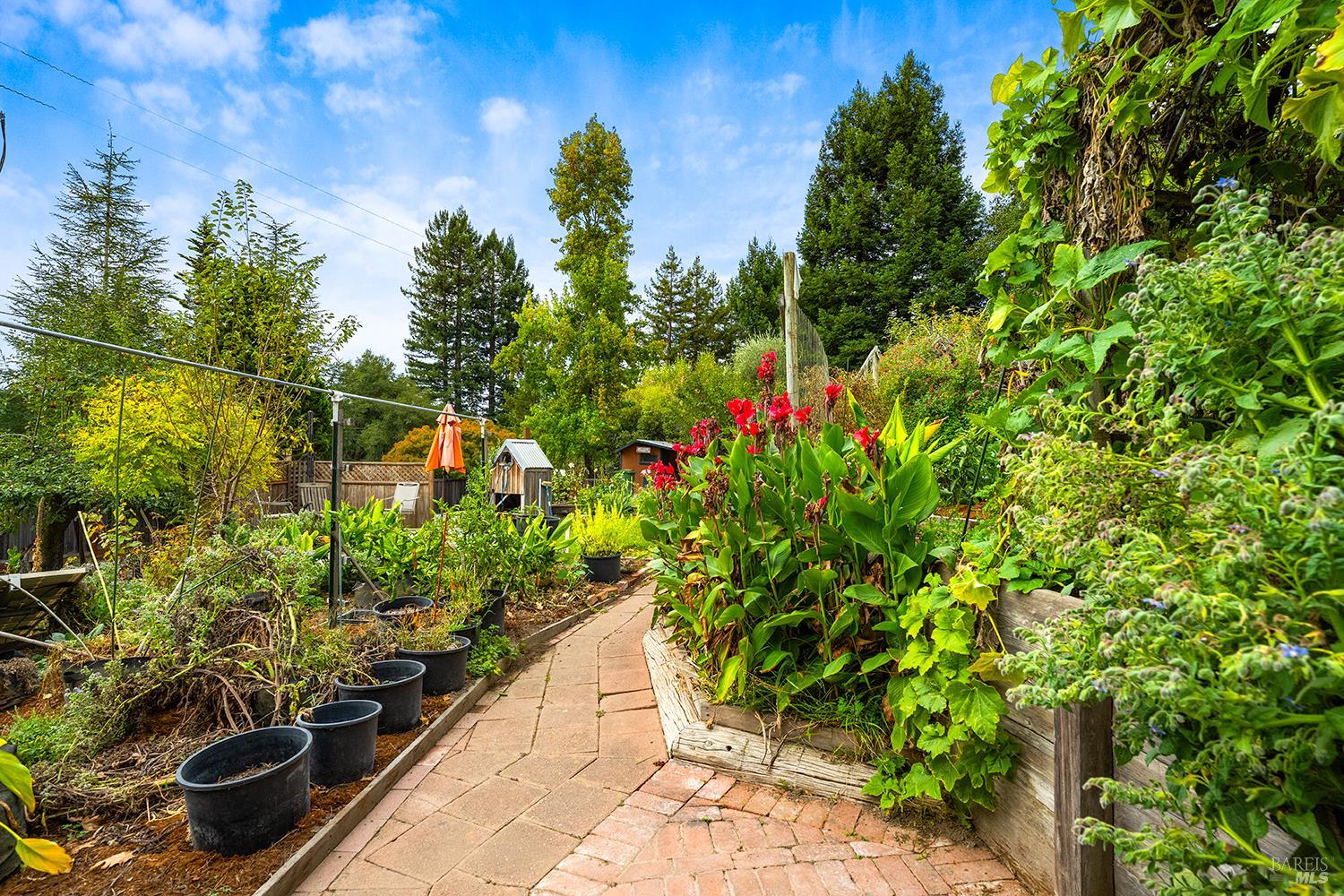 10395 Deblyn Lane Sebastopol CA 95472