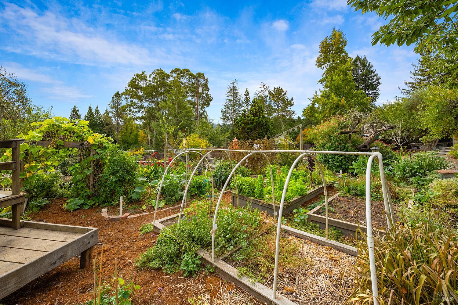 10395 Deblyn Lane Sebastopol CA 95472
