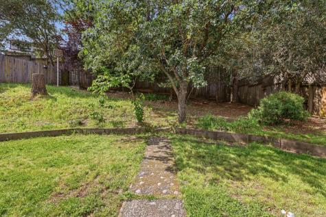 719 Cherry Street Novato CA 94945