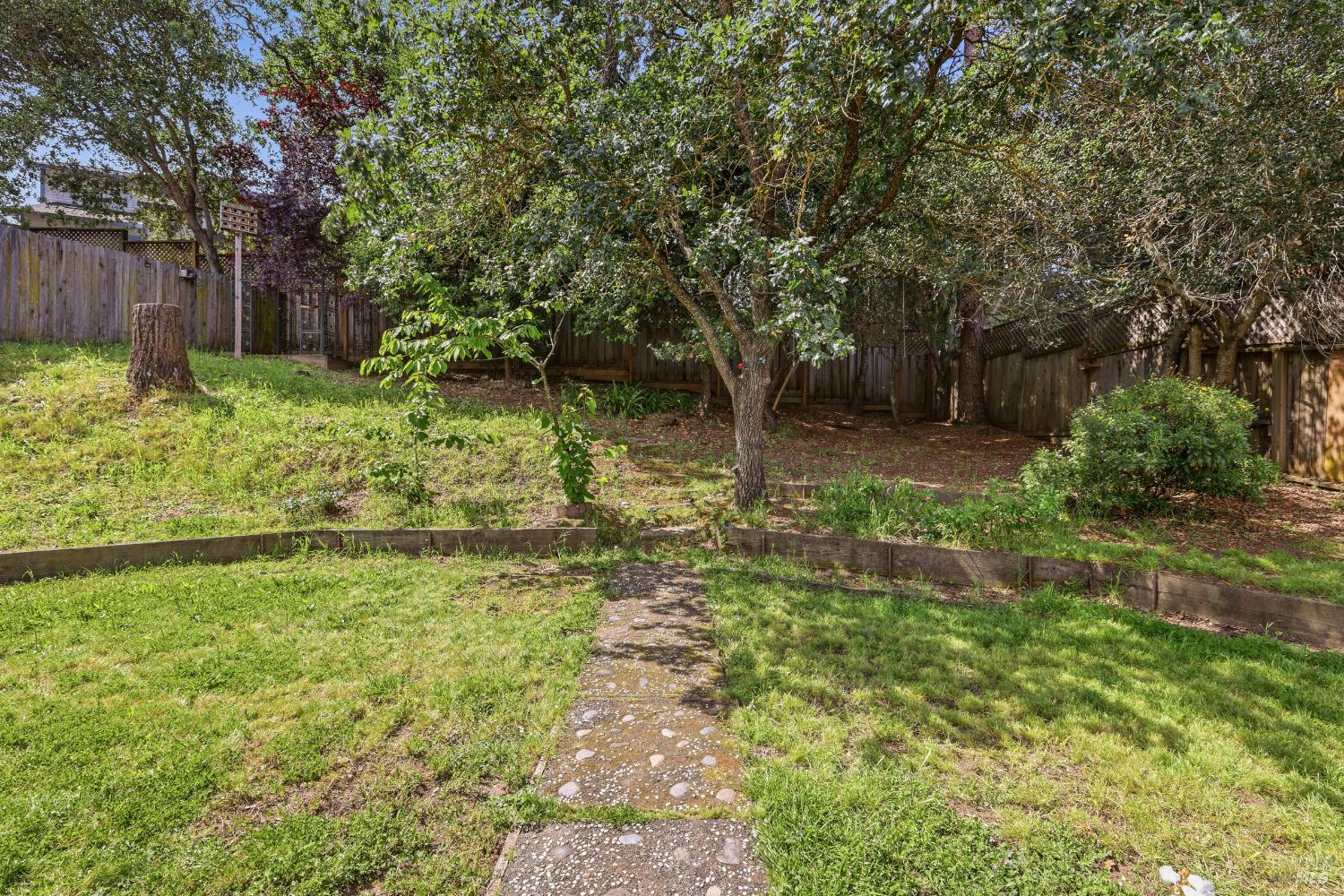 719 Cherry Street Novato CA 94945