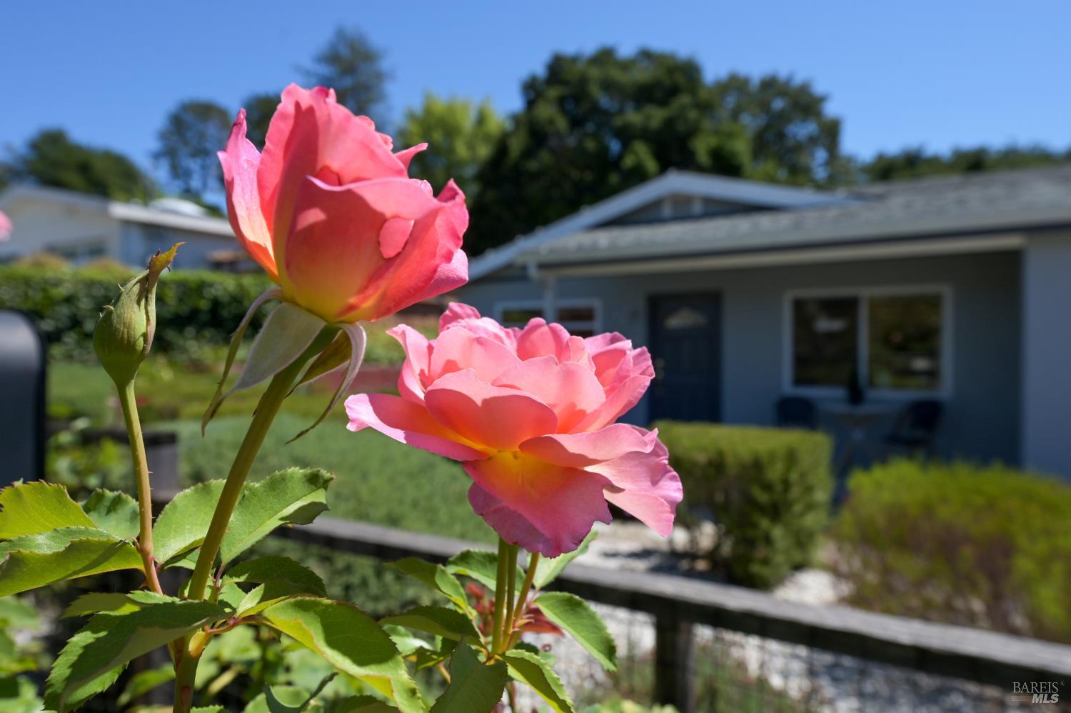 630 Louise Avenue Novato CA 94947