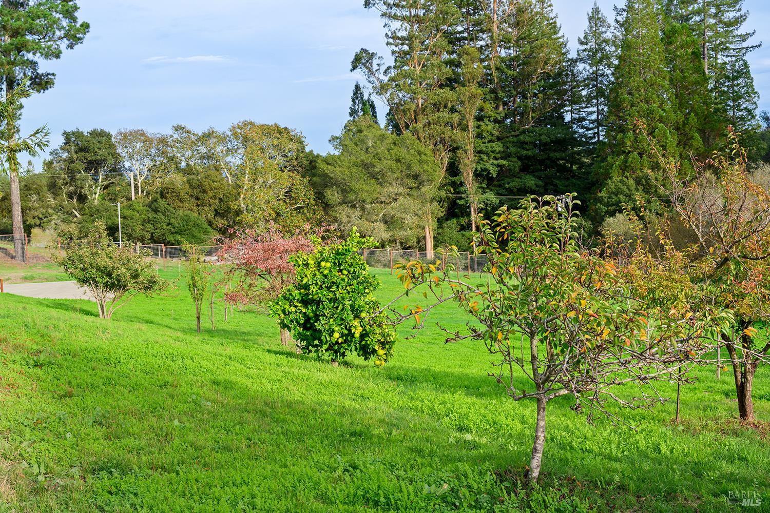 789 Pleasant Hill Road Sebastopol CA 95472