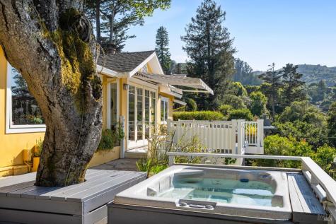 3 Ethel Lane Mill Valley CA 94941