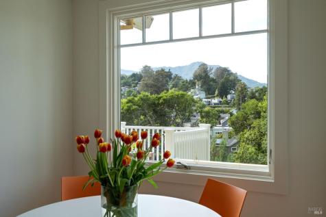 3 Ethel Lane Mill Valley CA 94941