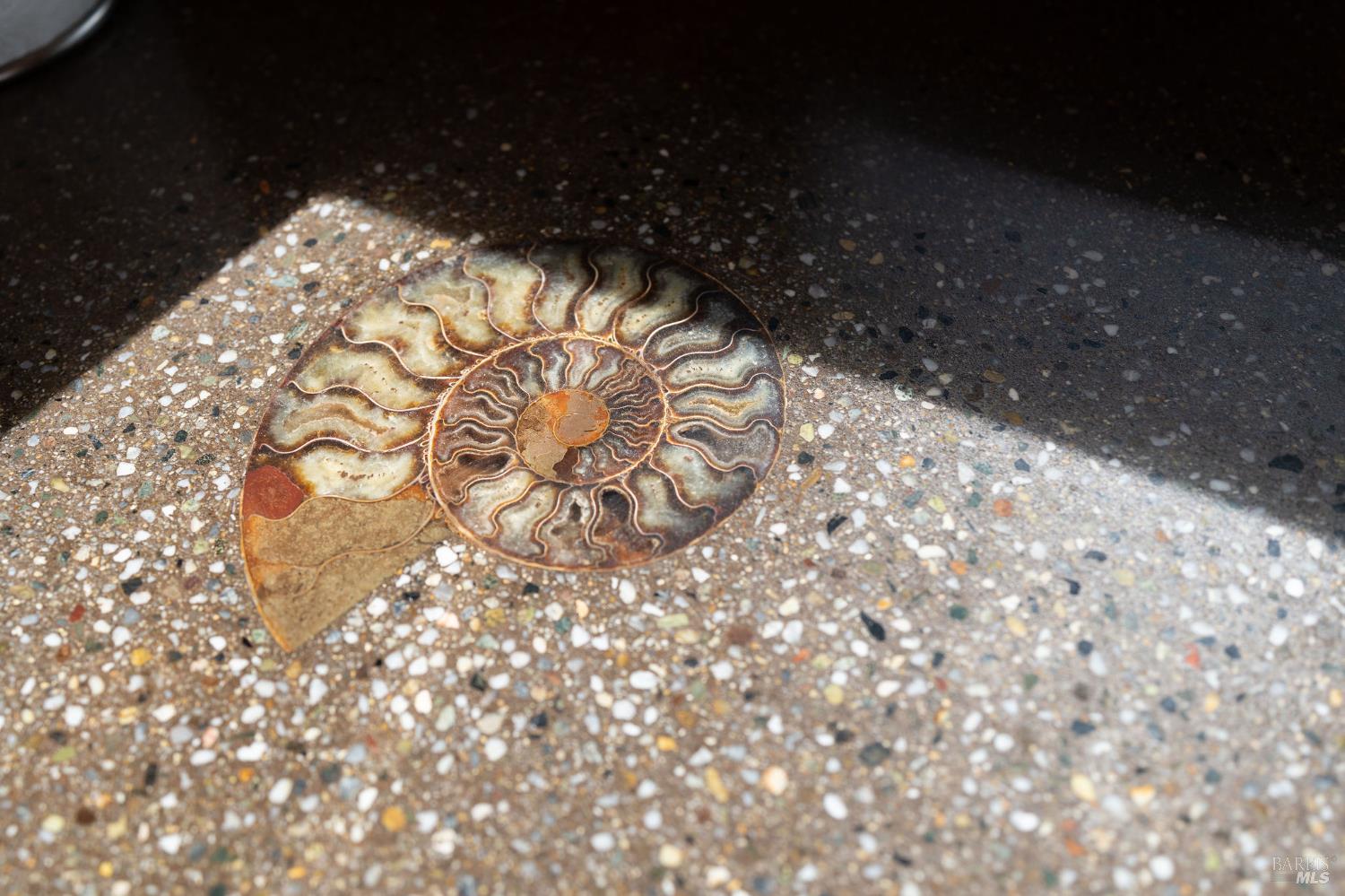 40445 Tide Pool The Sea Ranch CA 95497