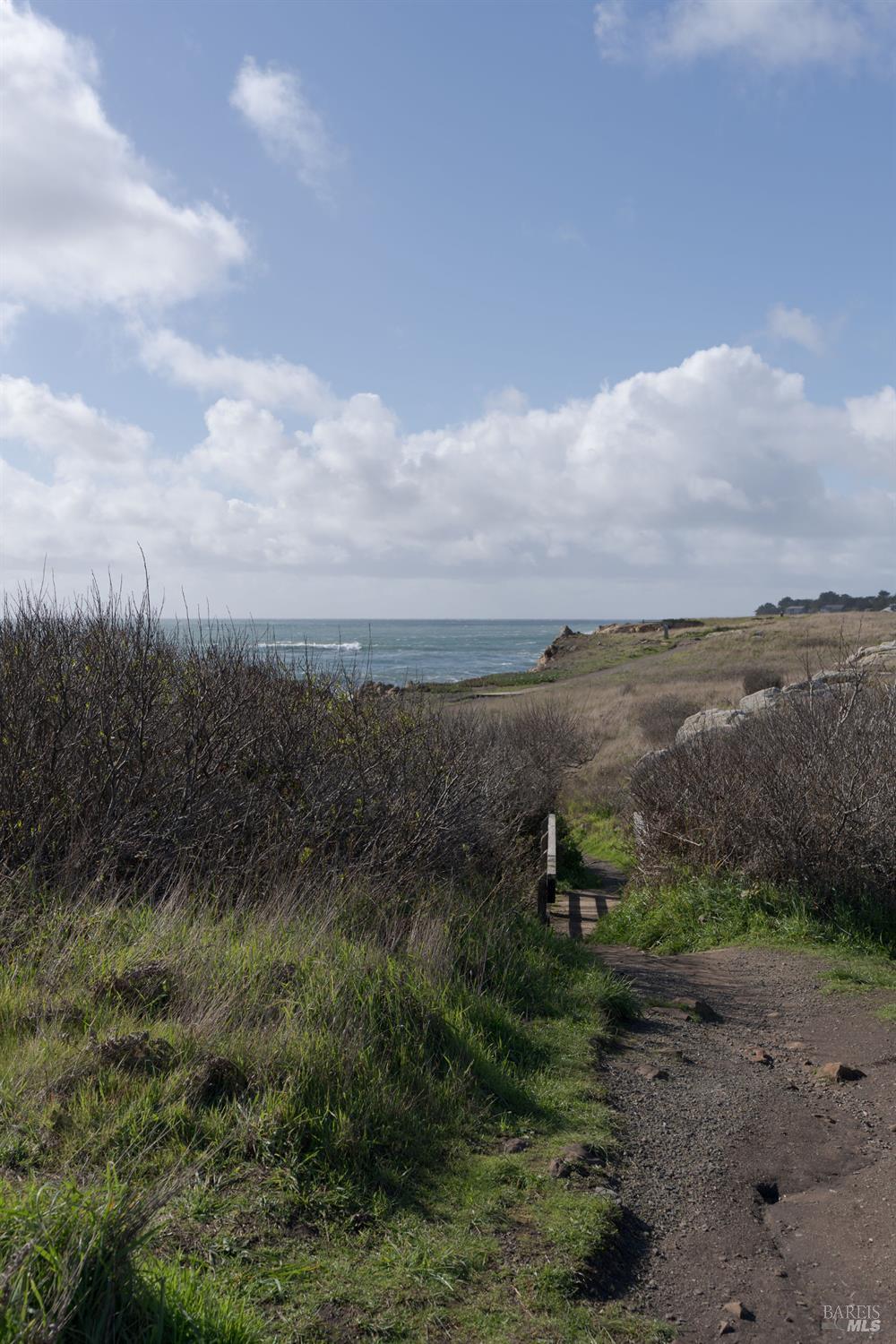 40445 Tide Pool The Sea Ranch CA 95497