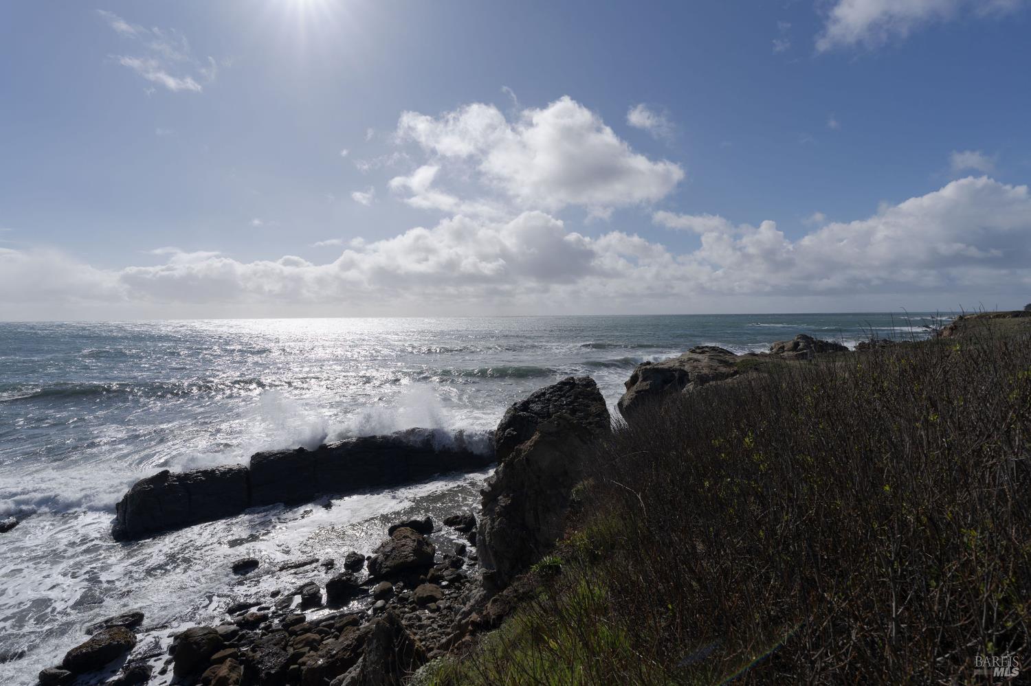 40445 Tide Pool The Sea Ranch CA 95497