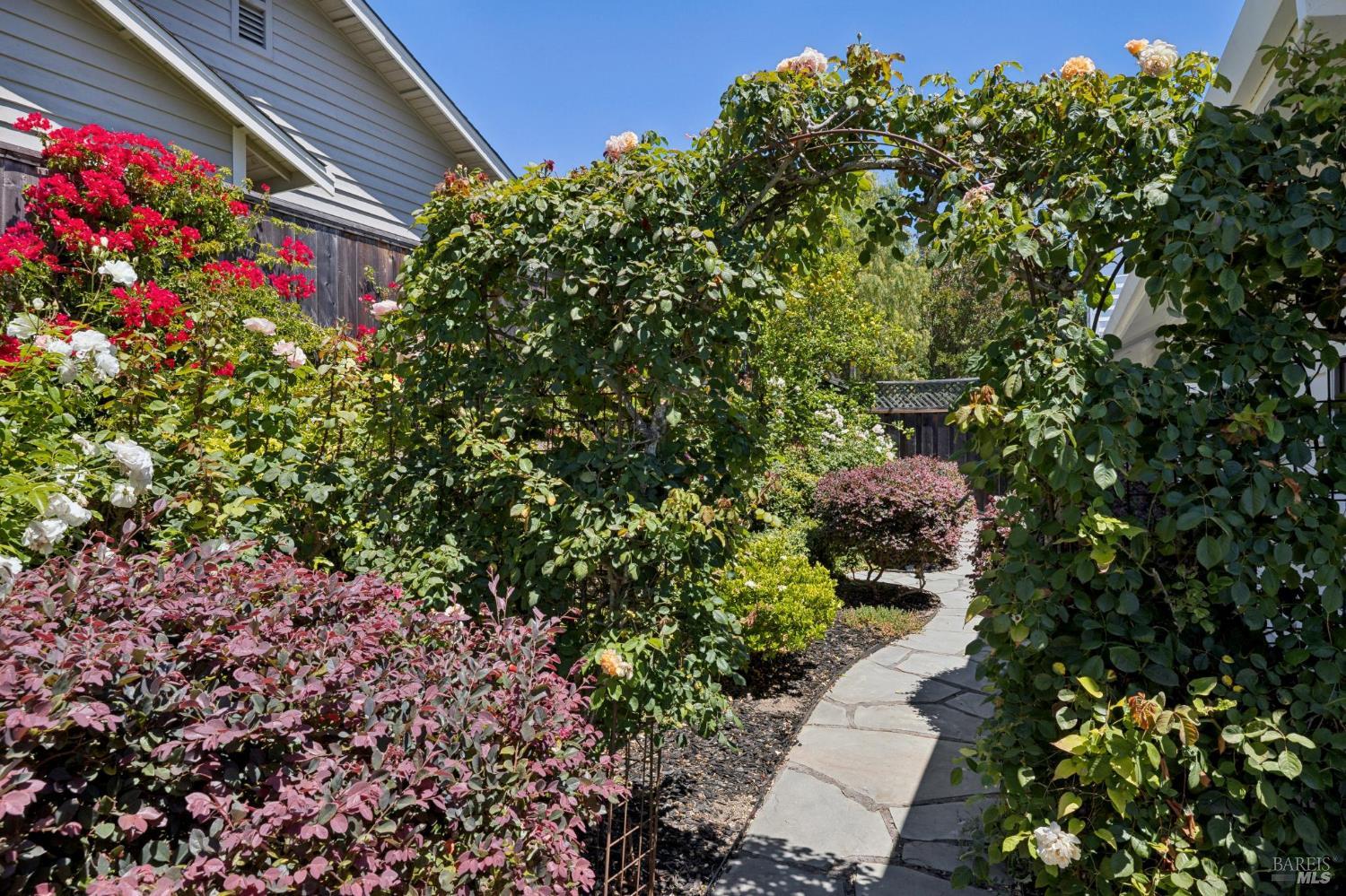 6 Fox Hollow Place Novato CA 94945