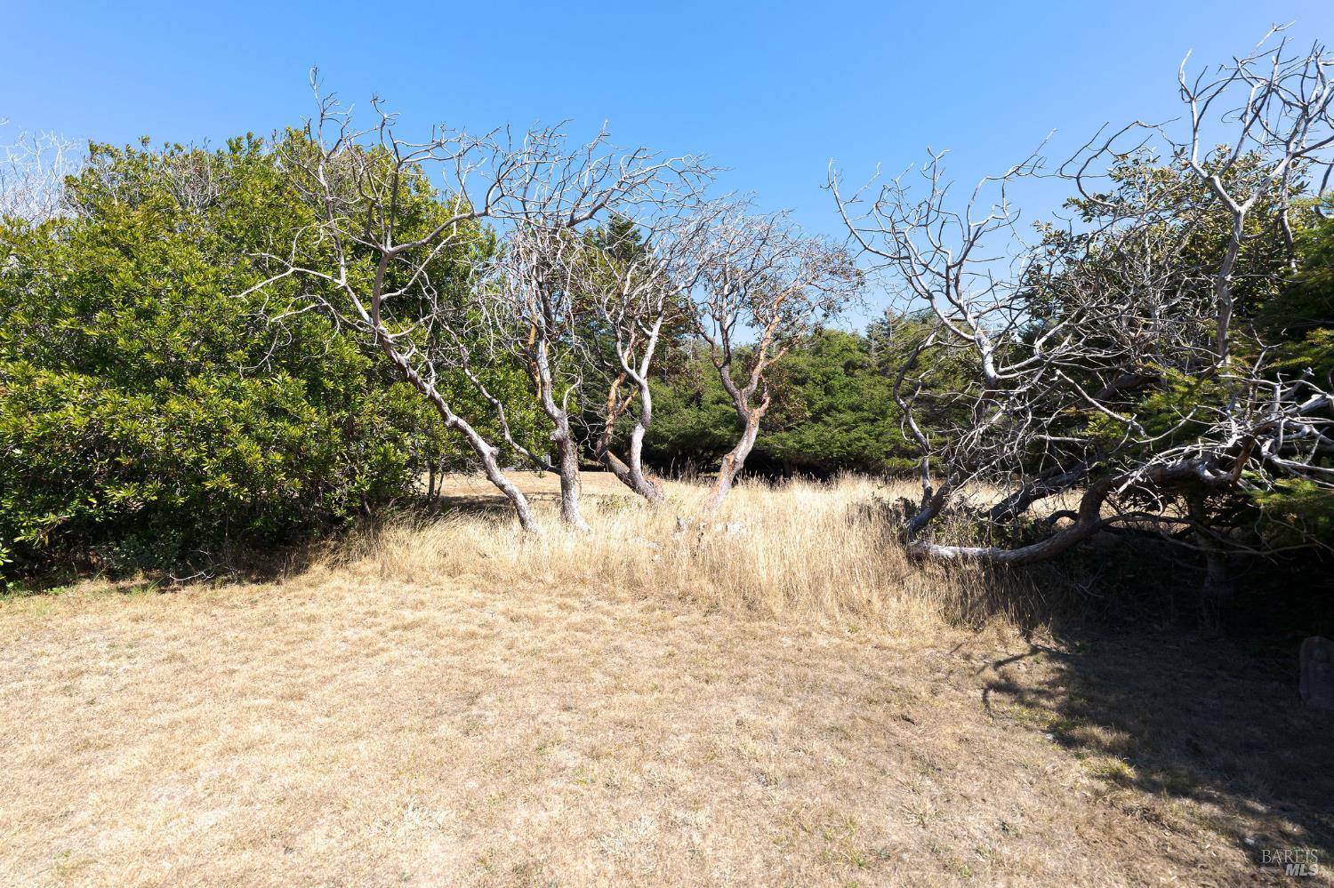 230 Haversack The Sea Ranch CA 95497